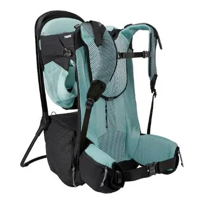 Thule Sapling Back Carrier